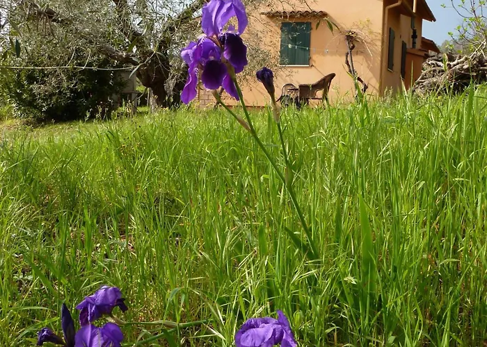 Podere Mulino Vecchio