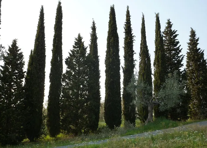 Podere Mulino Vecchio Guardistallo